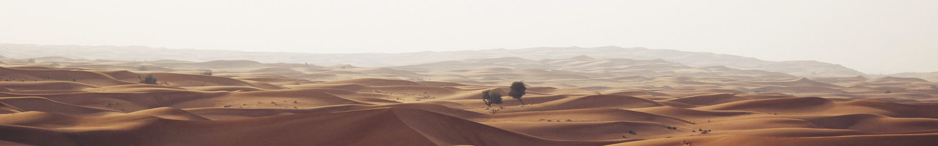 -ѯ޹˾